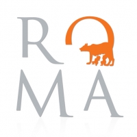 Lav Logo Roma