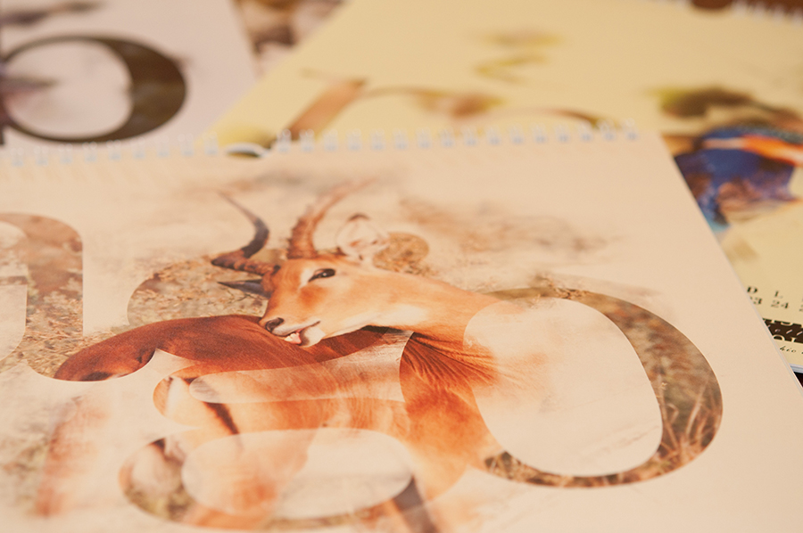 cal_natura07